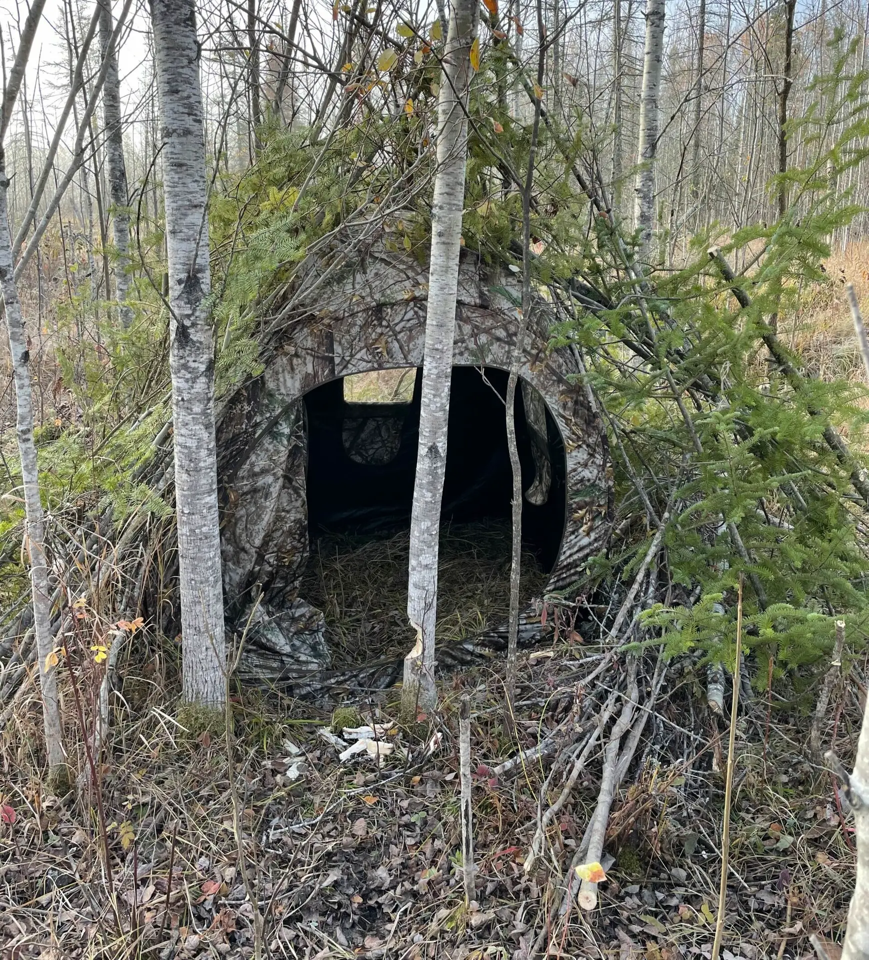 Algonquin tent scaled e1716172518761