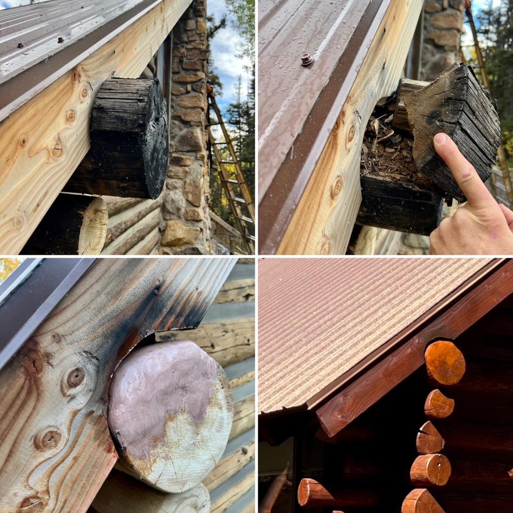 Log home restoration and rot repair showing damaged logs being repaired and refinished by Pencil Log Pros in Colorado and Utah.