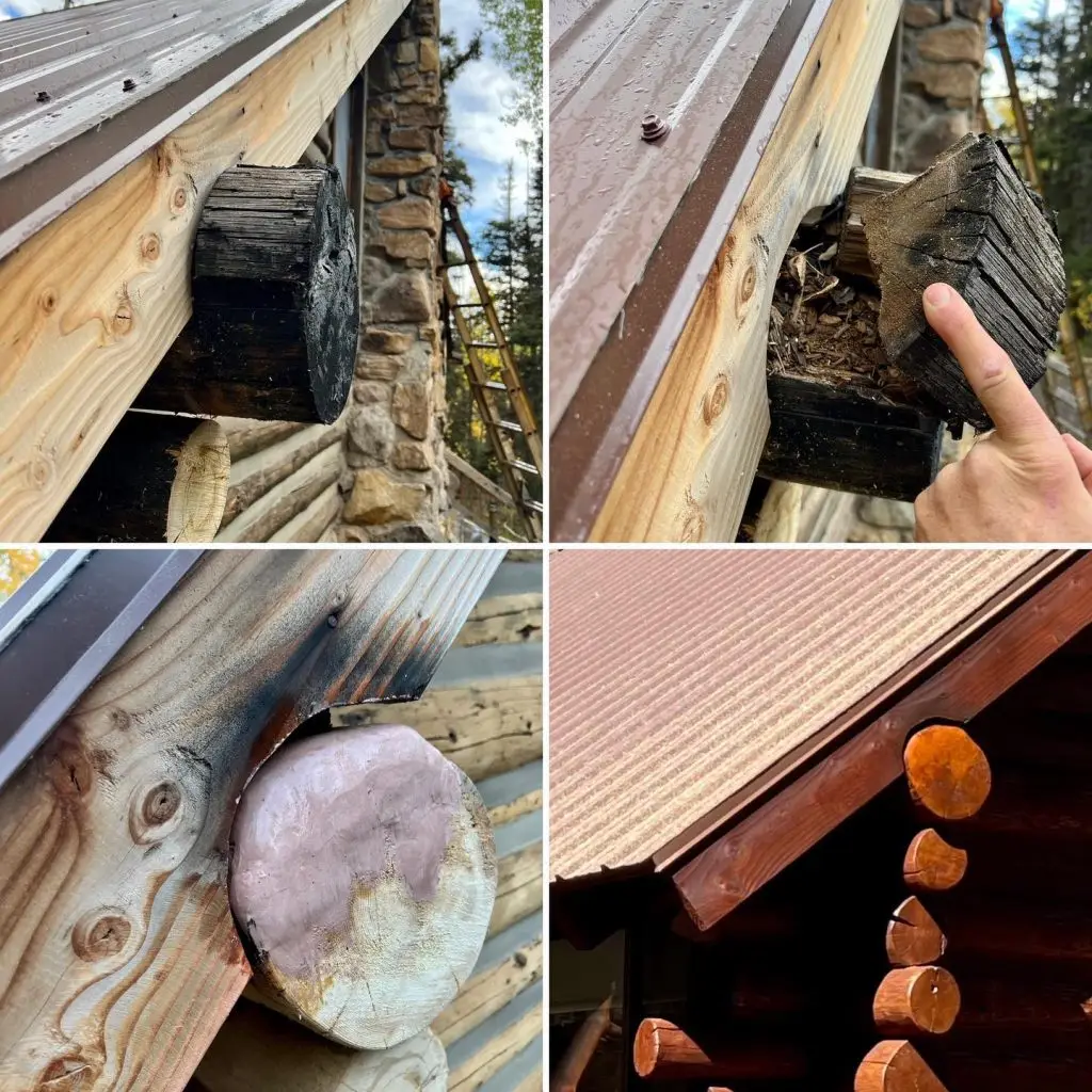 Log home restoration and rot repair showing damaged logs being repaired and refinished by Pencil Log Pros in Colorado and Utah.